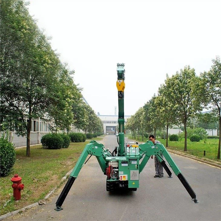 China 5t Mini Crawler Crane
